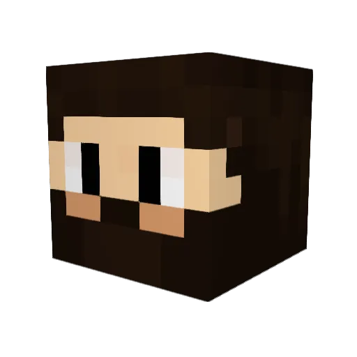Poll_e Minecraft avatar head, 3D render