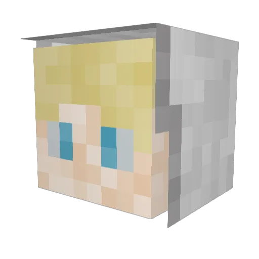 PolleDK_ Minecraft avatar head, 3D render