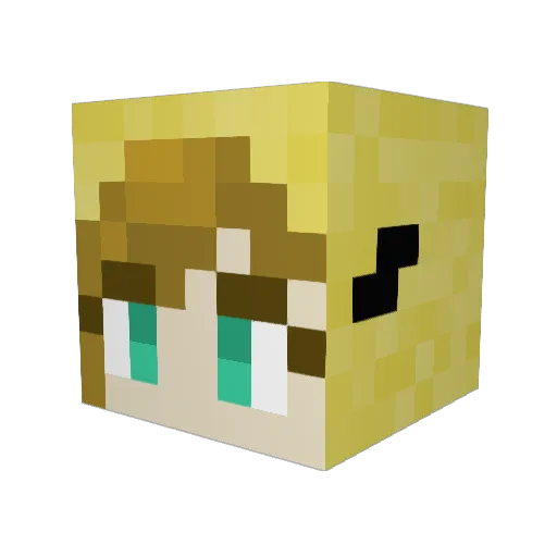 Pollinator_ Minecraft avatar head, 3D render