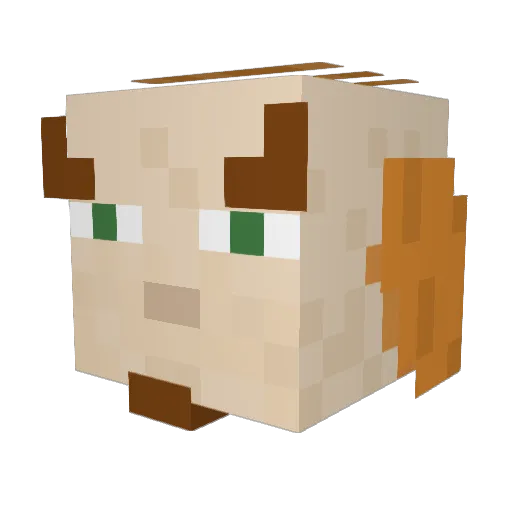 Pollito_13 Minecraft avatar head, 3D render