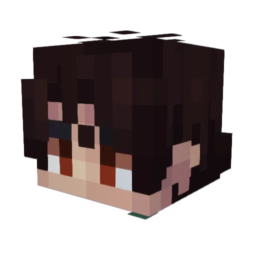Pollizag Minecraft avatar head, 3D render