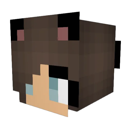 Pollofied Minecraft avatar head, 3D render
