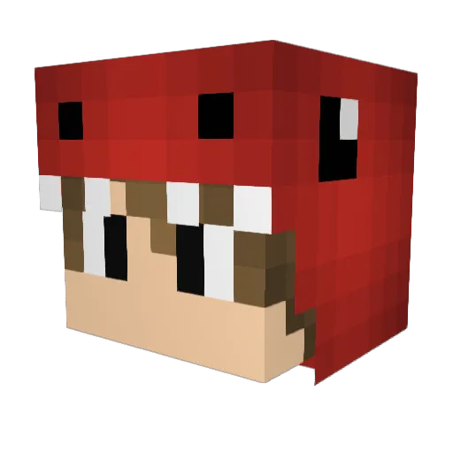 Pollomir Minecraft avatar head, 3D render