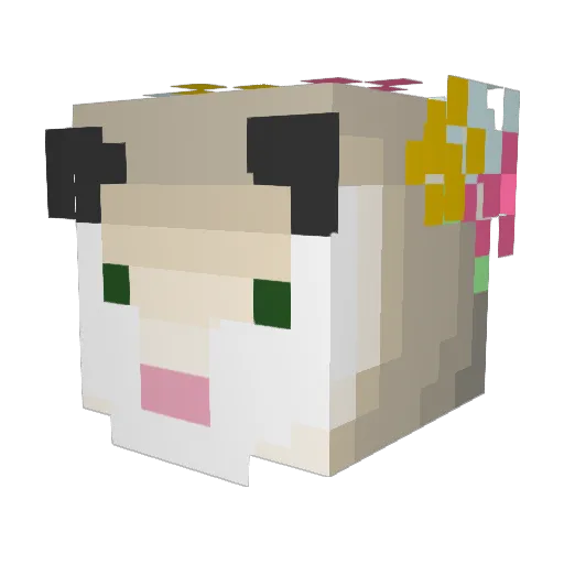 Polly0Possum Minecraft avatar head, 3D render