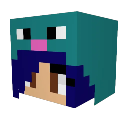 Pollywag Minecraft avatar head, 3D render