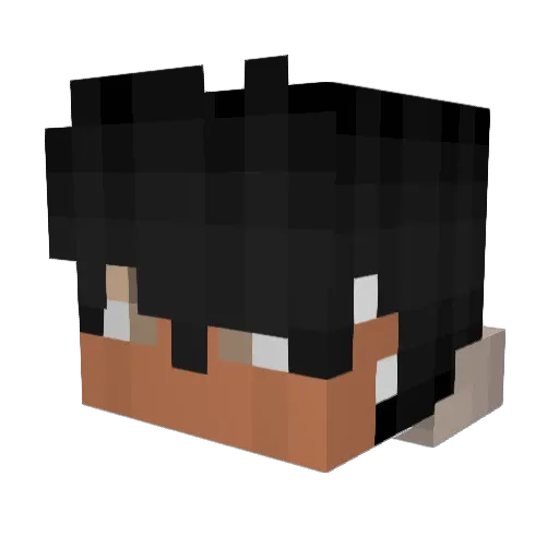 Pollywopje Minecraft avatar head, 3D render