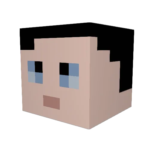 Polo1609 Minecraft avatar head, 3D render