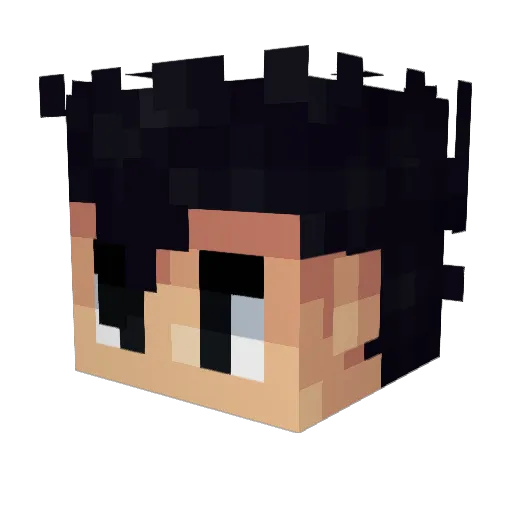 PoloStorm_ Minecraft avatar head, 3D render