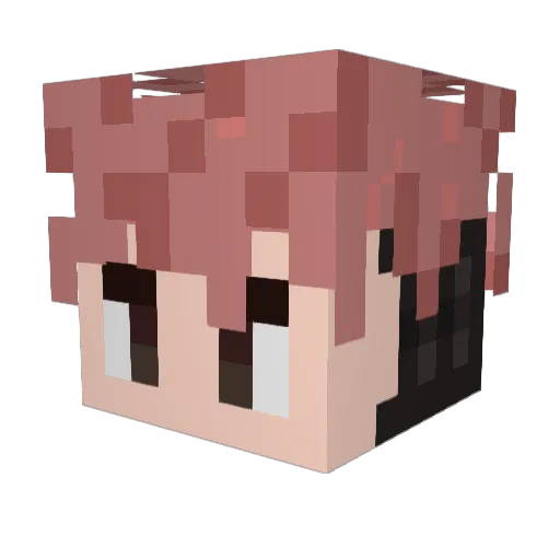 Polohat2 Minecraft avatar head, 3D render
