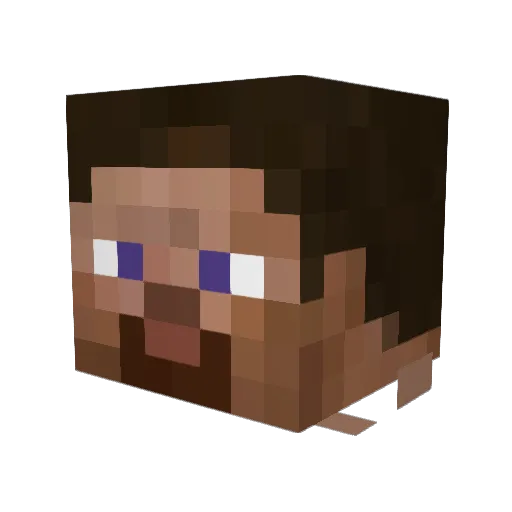 Pololepro1902 Minecraft avatar head, 3D render