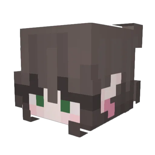 Polonka15 Minecraft avatar head, 3D render