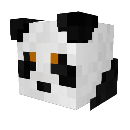 Polooooh11 Minecraft avatar head, 3D render