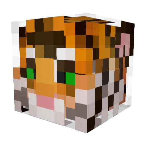 PolosatikTiger Minecraft avatar head, 3D render