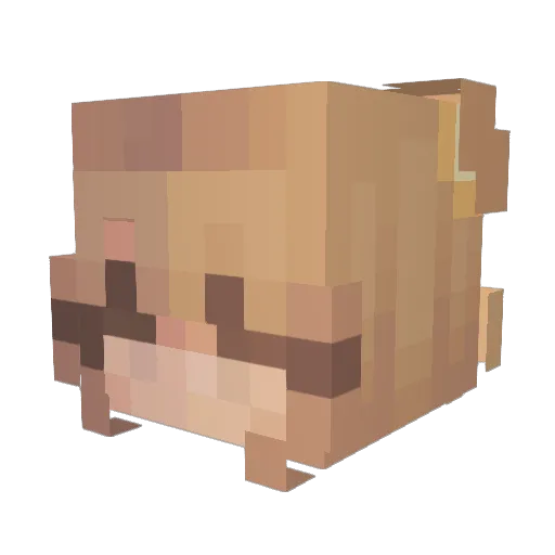Poloteddy Minecraft avatar head, 3D render