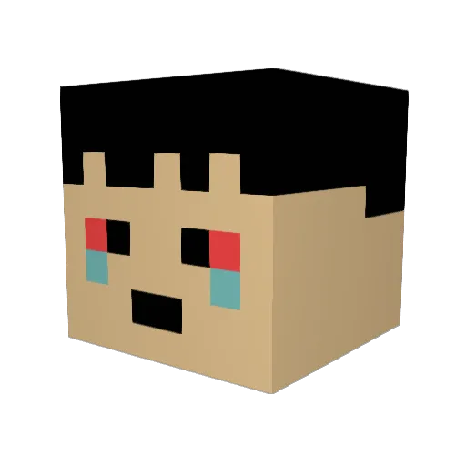 PolsatSport Minecraft avatar head, 3D render