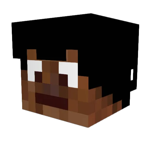 PolskiSzop Minecraft avatar head, 3D render