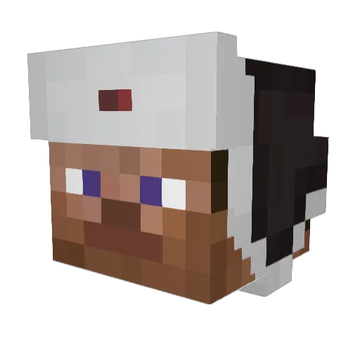 Polso Minecraft avatar head, 3D render