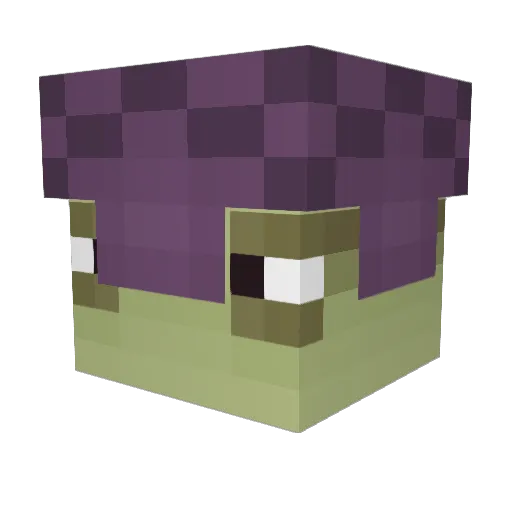 Polstoy Minecraft avatar head, 3D render