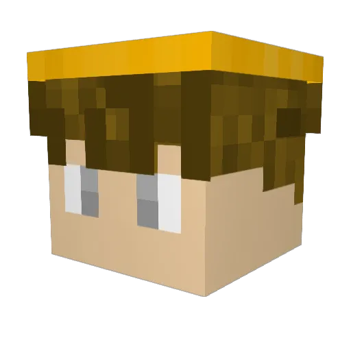 Poltea_ Minecraft avatar head, 3D render