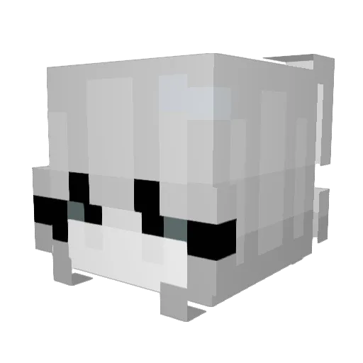 PoltransNati Minecraft avatar head, 3D render