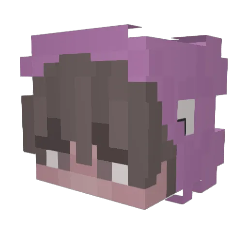Polvyn Minecraft avatar head, 3D render