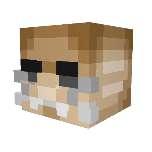 PolyMathPC Minecraft avatar head, 3D render