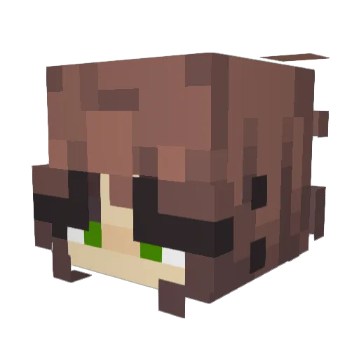 Polykat Minecraft avatar head, 3D render