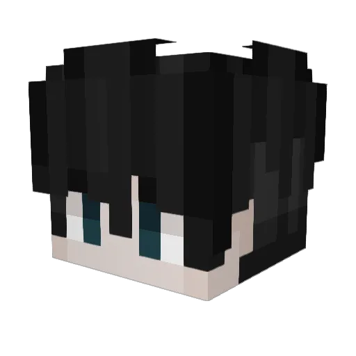 Polymerschwein Minecraft avatar head, 3D render