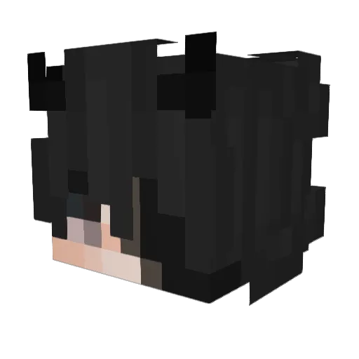 Polytechnicien Minecraft avatar head, 3D render
