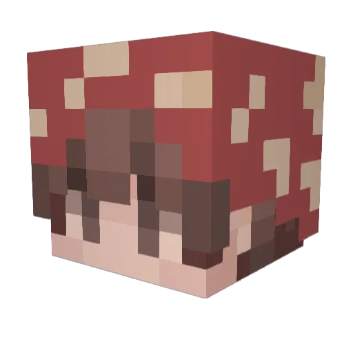 PomPom_Express Minecraft avatar head, 3D render