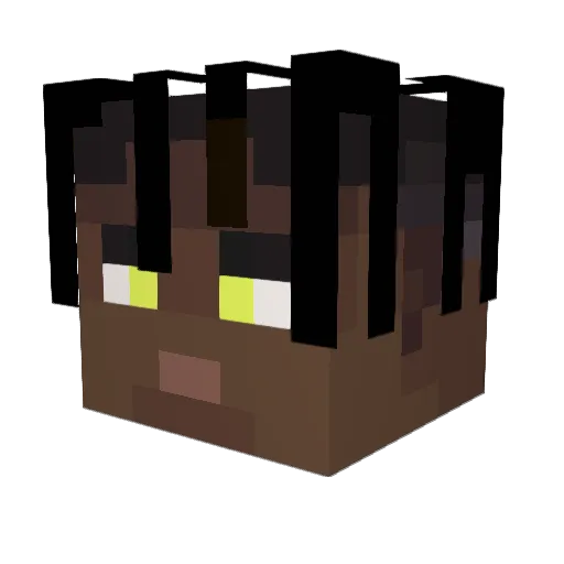 PomboMoggador Minecraft avatar head, 3D render