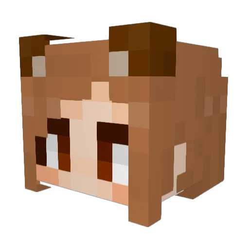 Pomco56 Minecraft avatar head, 3D render