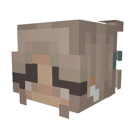 PomfPomfPomf Minecraft avatar head, 3D render