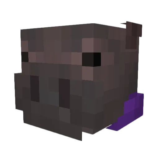 PompaRomp Minecraft avatar head, 3D render