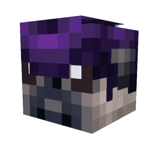 Pompadour_Pug Minecraft avatar head, 3D render
