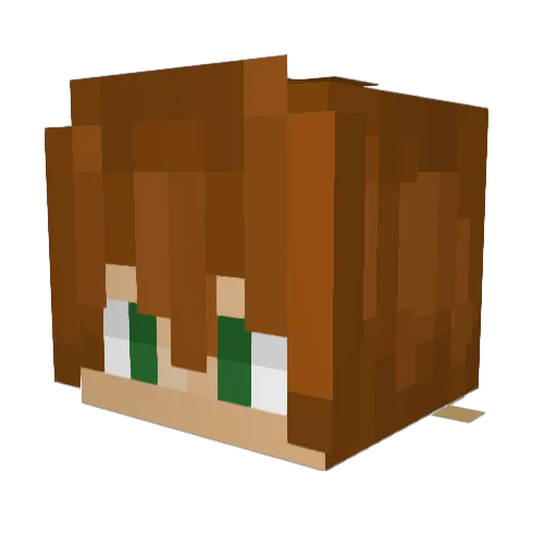 Pompic3105 Minecraft avatar head, 3D render
