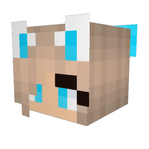 Pomski25 Minecraft avatar head, 3D render