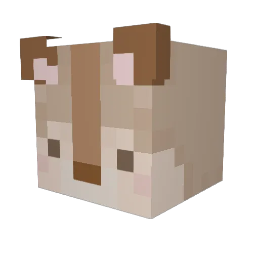 Ponchi0519 Minecraft avatar head, 3D render