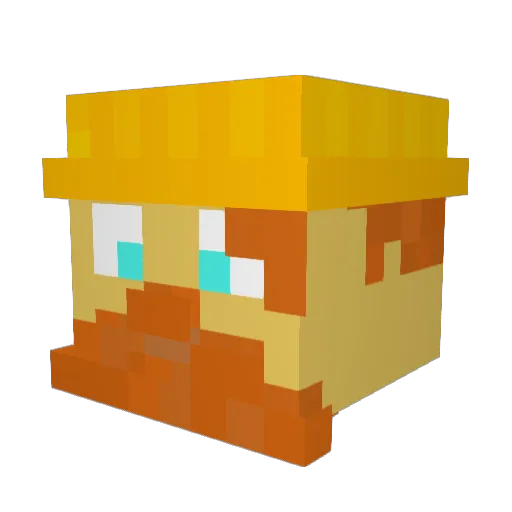 Poncho1 Minecraft avatar head, 3D render