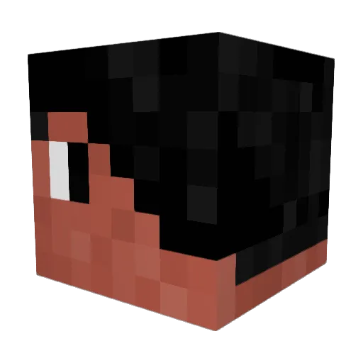 PonchoBlues Minecraft avatar head, 3D render