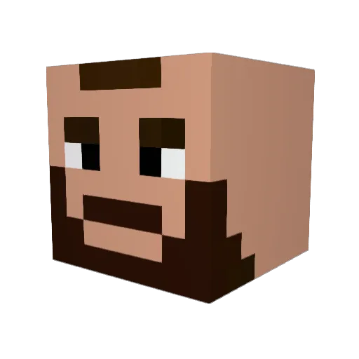 Ponchoinc Minecraft avatar head, 3D render