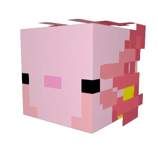 PondWaters Minecraft avatar head, 3D render