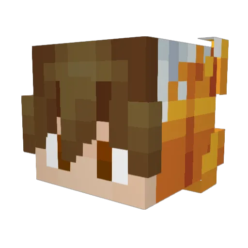 Ponderkat Minecraft avatar head, 3D render