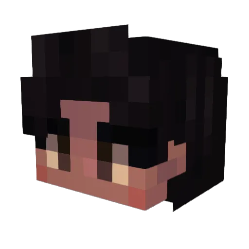 Ponds91st Minecraft avatar head, 3D render