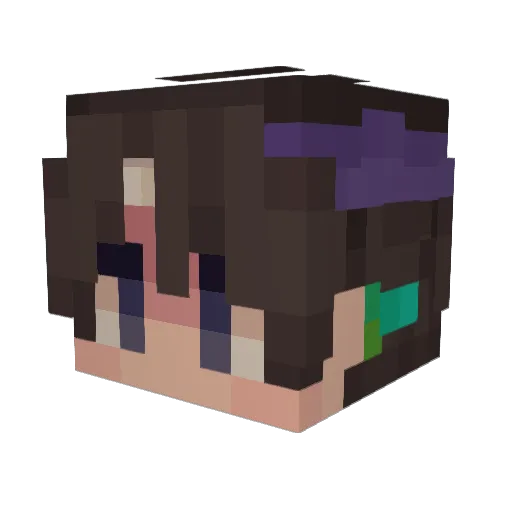 Poneystyle49 Minecraft avatar head, 3D render