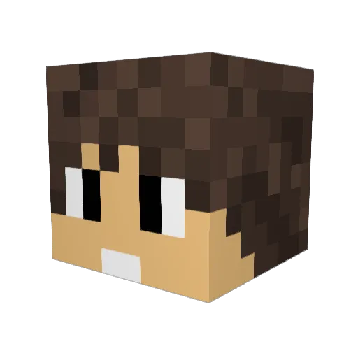 Ponezzo Minecraft avatar head, 3D render