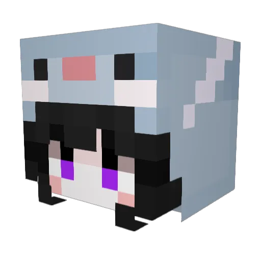 Pongkan9 Minecraft avatar head, 3D render