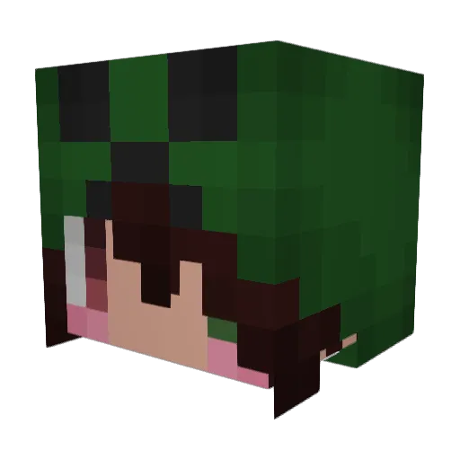 Ponkan_3621 Minecraft avatar head, 3D render