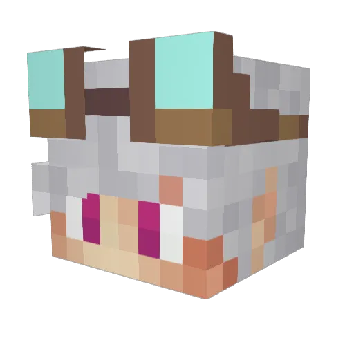 Ponsius Minecraft avatar head, 3D render