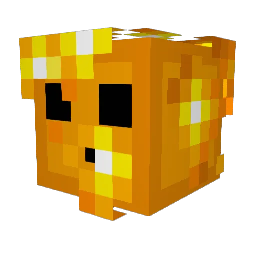 Ponssho Minecraft avatar head, 3D render